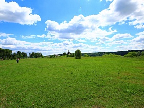 просторная зеленая поляна с сочной травой у основания соснового леса с видом на церковь в живописном месте-холмогоры