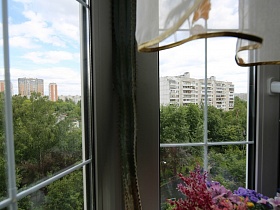 красивый зеленый массив из окна двухкомнатной квартиры в новострое
