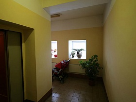 комнатные цветы на подоконнике, высокий цветок в вазоне и детская коляска на плиточном полу чистого холла с желтыми стенами, открытая лифтовая дверь на 4 этаже многоэтажного жилого дома