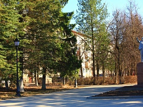 высокие зеленые раскидистые ели на площади с памятником Ленину в Сычево с жилыми двухэтажными домами