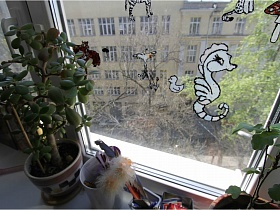 комнатные цветы на белом подоконнике окна с наклейками на стеклах в квартире педагога