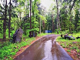 огромные камни на обочине тихой лесной дороги, мокрой от дождя на КП Бухта