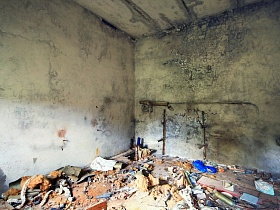захламленная комната старого заброшенного корпуса санатория, расположенного в зеленом лесу