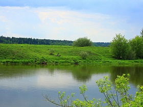 отражение в спокойной водной глади красивой реки крутого берега и зеленой кроны деревьев