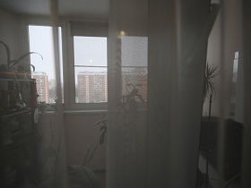 застекленный светлый балкон с коричневыми жалюзи на окнах сквозь белую гардину на окне спальной комнаты трехкомнатной квартиры