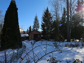 зеленые хвойные деревья в сугробах снега на большом участке неординарной загородной дачи