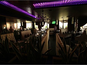 общий вид уютного белого зала с рядом белых мягких диванов  у деревянных сервирванных столиков с сиреневым неоновым освещением на потолке евро ресторана