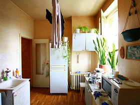 комнатные цветы на белом холодильнике, навесном шкафу, на подоконнике окна простой кухни нищей квартиры в жилом доме