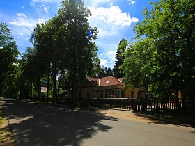гладкая асфальтированная дорога с высокими лиственными деревьями на обочине вдоль высокого забора вокруг желтого одноэтажного дома с коричневой крышей