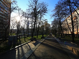 кроны деревьев затеняют аллею Покровского бульвара