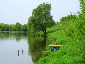 деревянный мостик на берегу красивой реки в окружении густой травы и многочисленных деревьев