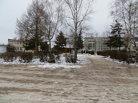 пешеходная дорожка между скверами с высокими деревьями, зелеными елями и рядами подстриженных кустарников по краю перед зданием ДК СССР зимой