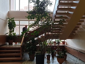 высокие комнатные цветы на мозаичном полу холла под лестницей с деревянными перилами столовой СССР