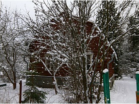 открытые ворота в сказочный дачный участок с шапками снега на ветвях деревьев