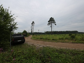 черная машина под ветвями дерева на обочине грунтовой полевой дороги, ведущей в сосновый лес