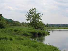 густая сочная зеленая трава на извилистом берегу спокойной реки с островками