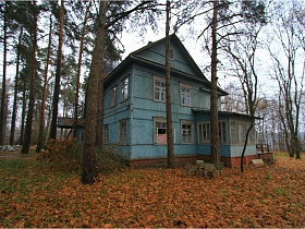 общий вид голубой деревянной академичекойдвухэтажной дачи (1947-60 гг)  за забором с хвойными и лиственными деревьями