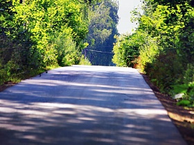 дорога, ведущая на территорию национального парка с прекрасным зеленым массивом