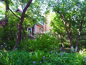 соседний дачный дом за высоким дощатым забором вокруг зеленого участка художественой дачи-музей