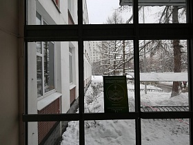 сквозь окна просматривается пришкольная территория в зимнее время