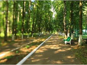 зеленые скамейки для отдыха вдоль алеи зоны отдыха