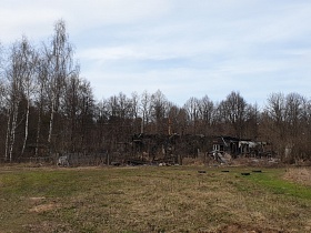 остатки стен старого разрушенного барачного дома на участке перед лесополосой в Акуловке на торфоразработках