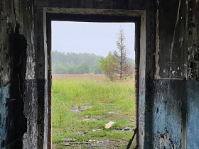 вид на густой зеленый лес, поляну с травой из дверного проема без двери старого заброшенного лагеря на берегу водохранилища