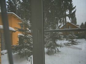 зеленые ели среди снега на участке добротного кирпичного дома сквозь белую гардину на окне