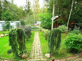 общий вид зеленой лужайки с разнообразной растительностью на участке простого семейного двухэтажного дома среди хвойного густого леса