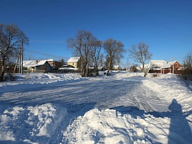 стволы деревьев в снегу вдоль расчищенной дороги в деревне зимой