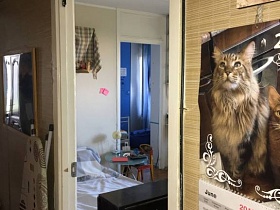 картина под стеклом в рамке и гладильная доска с одной стороны, кошка на настенном календаре и на картине с другой открытой двери в гостиную квартиры в Бибирево