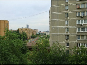 серое панельное многоэтажное здание за высокими зелеными деревьями в жилом дворе из открытого балкона однокомнатной квартиры