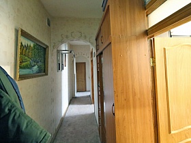 изображение природы на картине в рамке на светлой стене длинного коридора просторной квартиры семейной классики в сталинском доме