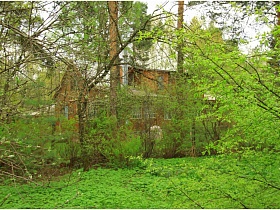вид на соседний двухэтажный дом сквозь листву зеленых деревьев на дачном участке