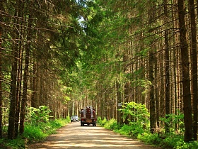 машина с грузом навстречу легковой на гладкой ровной дороге в прозрачном сосновом лесу