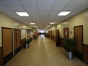 закрытые двери классов в длинном коридоре школы