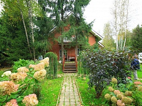 многочисленные кусты с цветами вдоль дорожки к лестнице с перилами к семейному простому дому в глухом лесу