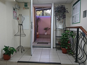комнатные цветы на полу с квадратной плиткой лестничной площадки с металлическими фигурными перилами, на черной этажерке у открытых входных дверей парикмахерской