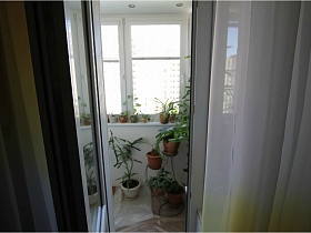 открытая дверь на зеленый балкон в простой двушке