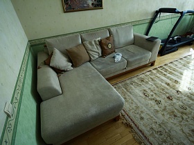 угловой мягкий светло-серый диван с большими подушками и разноцветными квадратными маленькими в светлой гостиной простой семейной квартиры