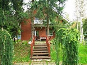 свисающие ветви низкорослых деревьев у лестницы с перилами к входным дверям в семейный простой дом в глухом лесу