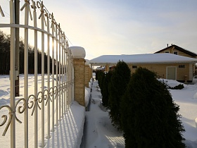 ровный ряд из невысокого зеленого кипариса вдоль белого металического решетчатого забора с колонами вокруг современного загородного дома зимой
