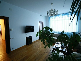 белые плафоны подвесной люстры на белом потолке гостиной с голубой гардиной на большом окне, плоским телевизором на стене между межкомнатными дверьми в другие комнаты трехкомнатной евро квартиры