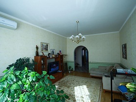 многочисленные комнатные цветы в светлой гостиной с кондиционером большой стандартной простой квартиры на втором этаже в Марьино