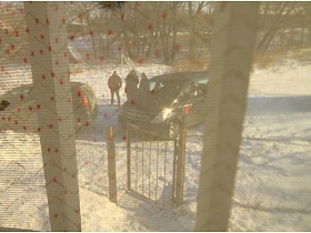 вид из окна сквозь тюлевую гардину на припаркованные машины на дороге за забором с открытыми воротами