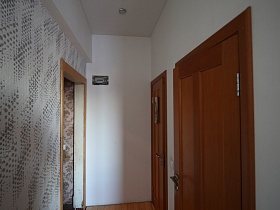 светлый длинный коридор с современными деревянными дверьми в санузел и ванную комнату в просторной трехкомнатной квартире