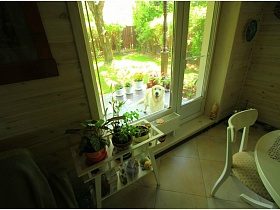 комнатные цветы на белой подставке у входной двери на кухню с открытой террасы деревянной дачи работника кино с собачкой