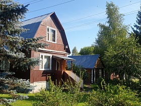 современная двухэтажная деревянная дача с коричневыми стенами, крыльцом под навесом, одноэтажными постройками в окружении зеленых и голубых елей на дачном участке в Годуново