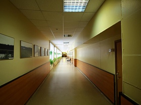 большие черно-белые фотографии на стене желтого коридора школы