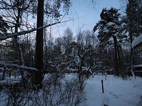 расчищенная узкая тропинка на дачном участке в лесу зимой